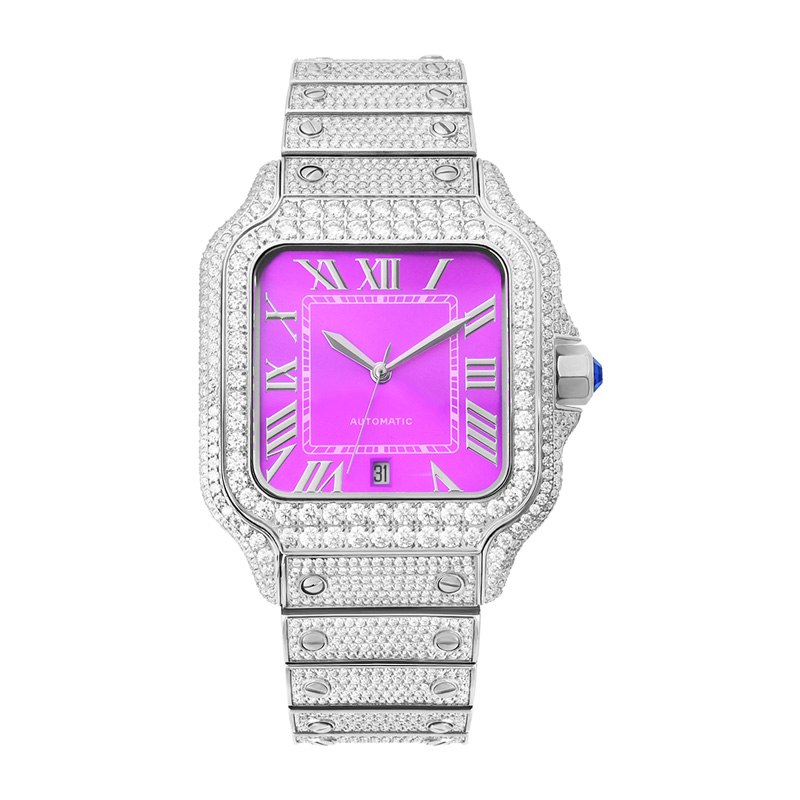 New Stylish Hip Hop Iced Out Diamond Jewelry Watches Automatic D Color VVS Moissanite Watch Past Diamond Tester